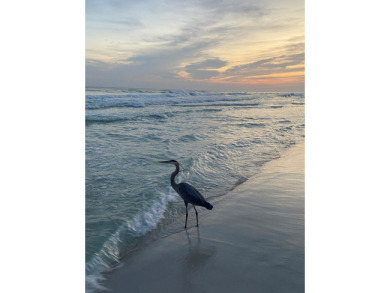 Lake House El Matador 431 by Alicia Hollis Rentals Open 7-28, , on Gulf of Mexico - Fort Walton in Florida - Lakehouse Vacation Rental - Lake Home for rent on LakeHouseVacations.com