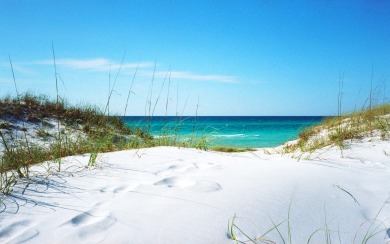Lake House 2004 Islander Beach Resort by AJH Rentals Open 1012-1212024, , on Gulf of Mexico - Fort Walton in Florida - Lakehouse Vacation Rental - Lake Home for rent on LakeHouseVacations.com