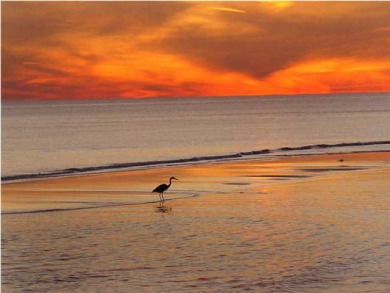 Lake House El Matador 459 by Alicia Hollis Rentals Open JUL 21 FREE TICKETS! $300Day, , on Gulf of Mexico - Fort Walton in Florida - Lakehouse Vacation Rental - Lake Home for rent on LakeHouseVacations.com