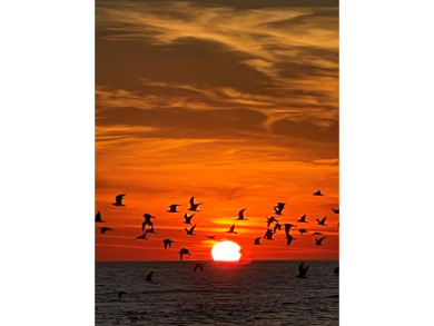 Lake House El Matador142 by Alicia Hollis Rentals Open July 21 FREE TICKETS! $300Day, , on Gulf of Mexico - Fort Walton in Florida - Lakehouse Vacation Rental - Lake Home for rent on LakeHouseVacations.com