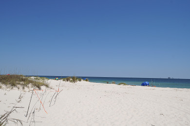 Lake House Sandpiper-Pet Friendly-Steps away from the beach-Signature Properties, , on Gulf of Mexico - Fort Morgan in Alabama - Lakehouse Vacation Rental - Lake Home for rent on LakeHouseVacations.com