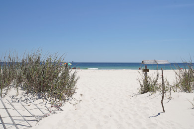 Lake House Sandpiper-Pet Friendly-Steps away from the beach-Signature Properties, , on Gulf of Mexico - Fort Morgan in Alabama - Lakehouse Vacation Rental - Lake Home for rent on LakeHouseVacations.com