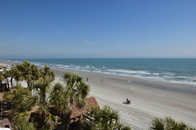 Lake House Oceanfront 1bed2bath-Water's Edge Resort-310 IndoorOutdoor Pool & Hot Tub, , on Atlantic Ocean - Garden City Beach in South Carolina - Lakehouse Vacation Rental - Lake Home for rent on LakeHouseVacations.com