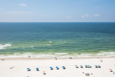 Lake House Summer House 804A - NEW UPDATED RENTAL - Signature Properties, , on Gulf of Mexico - Orange Beach in Alabama - Lakehouse Vacation Rental - Lake Home for rent on LakeHouseVacations.com