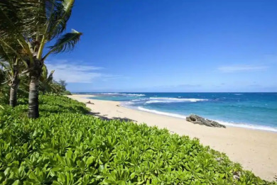 Lake House Gorgeous Haena beachfront home - Lihi Kai, Haena TVNC #4299, , on Kauai - Hanalei in Hawaii - Lakehouse Vacation Rental - Lake Home for rent on LakeHouseVacations.com