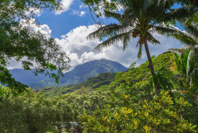 Lake House Ka Makana on Weke Rd in Hanalei, AC & Short walk to Hanalei Bay TVNC #1333, , on Kauai - Hanalei in Hawaii - Lakehouse Vacation Rental - Lake Home for rent on LakeHouseVacations.com