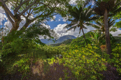 Lake House Ka Makana on Weke Rd in Hanalei, AC & Short walk to Hanalei Bay TVNC #1333, , on Kauai - Hanalei in Hawaii - Lakehouse Vacation Rental - Lake Home for rent on LakeHouseVacations.com