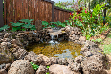 Lake House Quaint Island Charm - As Close to the Beach As You Can Get!, , on Kauai - Hanalei in Hawaii - Lakehouse Vacation Rental - Lake Home for rent on LakeHouseVacations.com