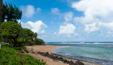 Lake House Literally Right On the Beach - 2BR Condo Perfect for Couples & Small Families, , on Kauai - Hanalei in Hawaii - Lakehouse Vacation Rental - Lake Home for rent on LakeHouseVacations.com