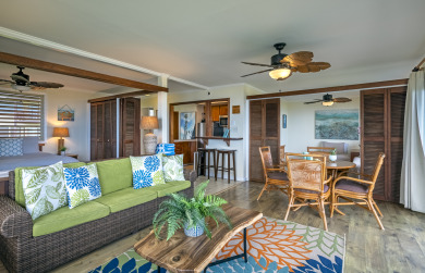 Lake House Incredible Ocean Views Just Steps From the Sand! Secluded, Laidback 2BR Condo, , on Kauai - Hanalei in Hawaii - Lakehouse Vacation Rental - Lake Home for rent on LakeHouseVacations.com