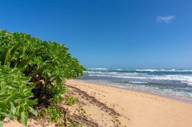 Lake House Charming and Romantic Beachfront Escape with Excellent Onsite Amenities, , on Kauai - Hanalei in Hawaii - Lakehouse Vacation Rental - Lake Home for rent on LakeHouseVacations.com