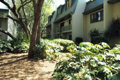 Lake House Surf Court 15 - Beautiful Townhouse - 1 block to the Beach, , on Atlantic Ocean - Hilton Head Island in South Carolina - Lakehouse Vacation Rental - Lake Home for rent on LakeHouseVacations.com