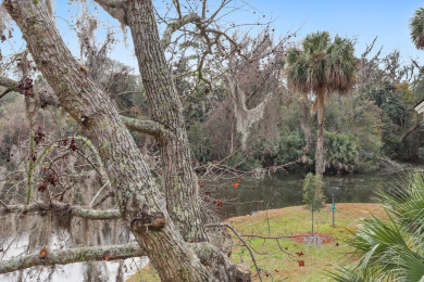 Lake House Sea Pines - 3 bedroom 2 bath Cottage with Spectacular Lagoon View, , on Atlantic Ocean - Hilton Head Island in South Carolina - Lakehouse Vacation Rental - Lake Home for rent on LakeHouseVacations.com