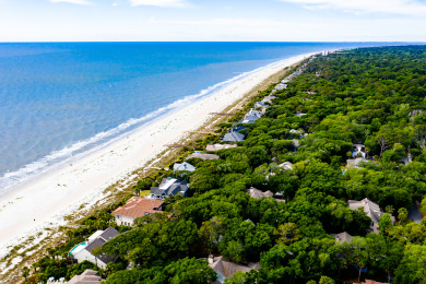 Lake House Pet friendly, 2nd row beach home with private pool and gorgeous new updates, , on Atlantic Ocean - Hilton Head Island in South Carolina - Lakehouse Vacation Rental - Lake Home for rent on LakeHouseVacations.com
