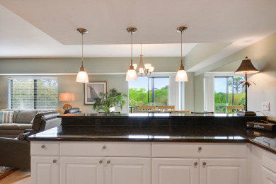Lake House Forest Beach Villa 430 - Spectacular 2 BR Penthouse - Short Walk to Beach!, , on Atlantic Ocean - Hilton Head Island in South Carolina - Lakehouse Vacation Rental - Lake Home for rent on LakeHouseVacations.com