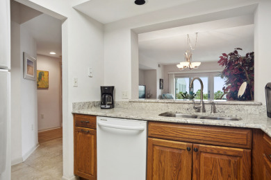Lake House Shorewood 333 -Renovated Oceanview 3rd Floor Condo with Stunning Views, , on Atlantic Ocean - Hilton Head Island in South Carolina - Lakehouse Vacation Rental - Lake Home for rent on LakeHouseVacations.com