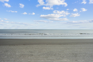 Lake House Shorewood 338 - Ocean View - 2 bedroom 3rd Floor Spacious Condo, , on Atlantic Ocean - Hilton Head Island in South Carolina - Lakehouse Vacation Rental - Lake Home for rent on LakeHouseVacations.com