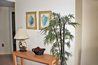Lake House Shorewood 332 - Oceanview 3rd Floor Condo, , on Atlantic Ocean - Hilton Head Island in South Carolina - Lakehouse Vacation Rental - Lake Home for rent on LakeHouseVacations.com