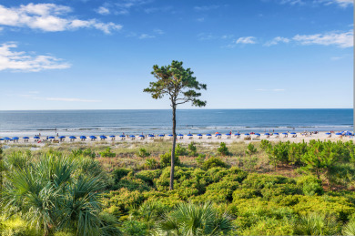 Lake House 312 Breakers Sleeps 4, Free Bikes, Pool, Oceanfront, , on Atlantic Ocean - Hilton Head Island in South Carolina - Lakehouse Vacation Rental - Lake Home for rent on LakeHouseVacations.com