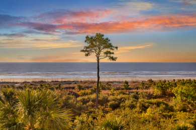 Lake House 312 Breakers Sleeps 4, Free Bikes, Pool, Oceanfront, , on Atlantic Ocean - Hilton Head Island in South Carolina - Lakehouse Vacation Rental - Lake Home for rent on LakeHouseVacations.com