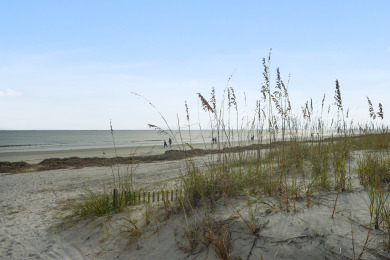 Lake House Shorewood 137 - Beautiful Oceanside 2BR2BA With Peek a Boo Ocean View, , on Atlantic Ocean - Hilton Head Island in South Carolina - Lakehouse Vacation Rental - Lake Home for rent on LakeHouseVacations.com