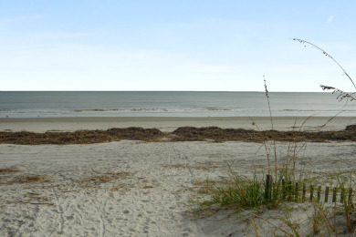 Lake House Shorewood 137 - Beautiful Oceanside 2BR2BA With Peek a Boo Ocean View, , on Atlantic Ocean - Hilton Head Island in South Carolina - Lakehouse Vacation Rental - Lake Home for rent on LakeHouseVacations.com