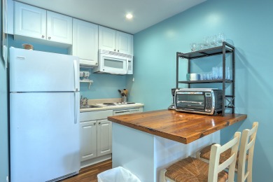 Lake House 102 Breakers - Totally Renovated 2025! Beautiful Oceanside Villa!, , on Atlantic Ocean - Hilton Head Island in South Carolina - Lakehouse Vacation Rental - Lake Home for rent on LakeHouseVacations.com