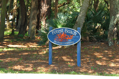 Lake House 217 Breakers- Direct Oceanfront with Pool & Kiddy Pool, , on Atlantic Ocean - Hilton Head Island in South Carolina - Lakehouse Vacation Rental - Lake Home for rent on LakeHouseVacations.com