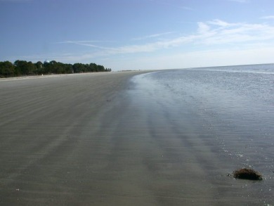 Lake House 1423 S. Beach Villa - Catch A Glimpse of Calibogue Sound & Beach, , on Atlantic Ocean - Hilton Head Island in South Carolina - Lakehouse Vacation Rental - Lake Home for rent on LakeHouseVacations.com