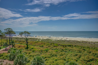 Lake House 502 Shorewood - Direct Oceanfront, , on Atlantic Ocean - Hilton Head Island in South Carolina - Lakehouse Vacation Rental - Lake Home for rent on LakeHouseVacations.com