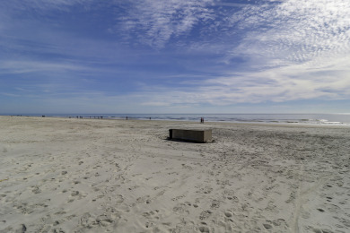 Lake House 313 Ocean One - Direct Oceanfront and 3 Bedrooms, , on Atlantic Ocean - Hilton Head Island in South Carolina - Lakehouse Vacation Rental - Lake Home for rent on LakeHouseVacations.com