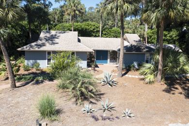 Lake House 15 Pelican - 7th Row (180 yards3 minute walk) to the Ocean , , on Atlantic Ocean - Hilton Head Island in South Carolina - Lakehouse Vacation Rental - Lake Home for rent on LakeHouseVacations.com