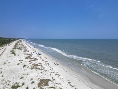 Lake House 22 Surf Scoter - 3 Bedroom 3rd Row ocean beach home., , on Atlantic Ocean - Hilton Head Island in South Carolina - Lakehouse Vacation Rental - Lake Home for rent on LakeHouseVacations.com