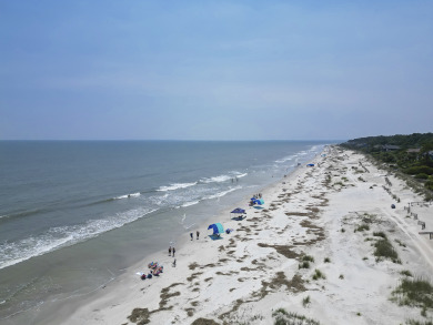 Lake House 22 Surf Scoter - 3 Bedroom 3rd Row ocean beach home., , on Atlantic Ocean - Hilton Head Island in South Carolina - Lakehouse Vacation Rental - Lake Home for rent on LakeHouseVacations.com