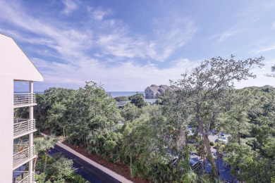 Lake House 3527 Villamare has an upbeat, fun style with ocean views!, , on Atlantic Ocean - Hilton Head Island in South Carolina - Lakehouse Vacation Rental - Lake Home for rent on LakeHouseVacations.com