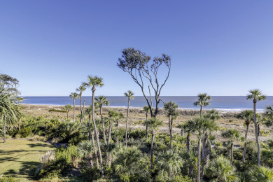 Lake House 2320 Windsor II Spectacular Oceanfront views!, , on Atlantic Ocean - Hilton Head Island in South Carolina - Lakehouse Vacation Rental - Lake Home for rent on LakeHouseVacations.com