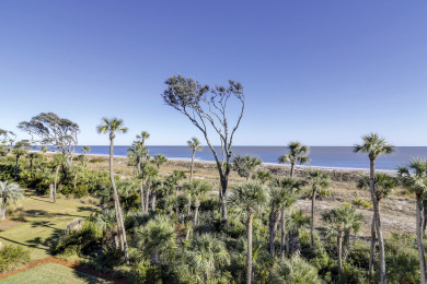 Lake House 2320 Windsor II Spectacular Oceanfront views!, , on Atlantic Ocean - Hilton Head Island in South Carolina - Lakehouse Vacation Rental - Lake Home for rent on LakeHouseVacations.com
