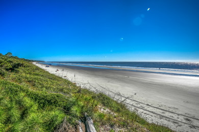 Lake House 5 Piping Plover-Dog- Friendly, 4th Row(100 yards) Ocean w Private Pool, , on Atlantic Ocean - Hilton Head Island in South Carolina - Lakehouse Vacation Rental - Lake Home for rent on LakeHouseVacations.com