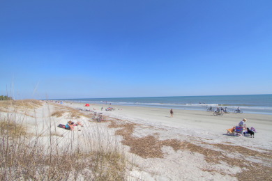 Lake House 106 Oceanwood Trace - 2nd Row Ocean View, Dog Friendly Beachside Oasis., , on Atlantic Ocean - Hilton Head Island in South Carolina - Lakehouse Vacation Rental - Lake Home for rent on LakeHouseVacations.com