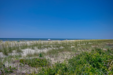 Lake House 6 High Rigger-2nd Row (20 yards) to the Ocean, Fully Renovated Home wPool. , , on Atlantic Ocean - Hilton Head Island in South Carolina - Lakehouse Vacation Rental - Lake Home for rent on LakeHouseVacations.com