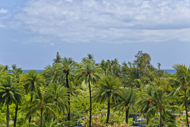 Lake House Heart of Waikiki With Partial Ocean View! Washlet! AC!, , on Oahu - Honolulu in Hawaii - Lakehouse Vacation Rental - Lake Home for rent on LakeHouseVacations.com