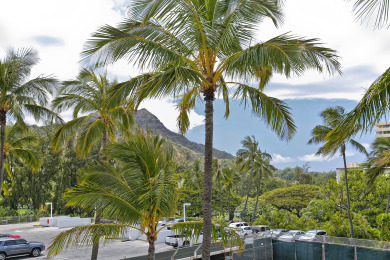 Lake House Upgraded Beachfront Studio on Quiet Waikiki beach with SwimmingSurfing!, , on Oahu - Honolulu in Hawaii - Lakehouse Vacation Rental - Lake Home for rent on LakeHouseVacations.com