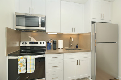 Lake House FULLY RENOVATED! Modern Condo in the Heart of Waikiki!, , on Oahu - Honolulu in Hawaii - Lakehouse Vacation Rental - Lake Home for rent on LakeHouseVacations.com