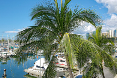 Lake House GORGEOUS Waikiki Yacht Harbor Views! Central AC, FREE Wi-Fi, Washlet!, , on Oahu - Honolulu in Hawaii - Lakehouse Vacation Rental - Lake Home for rent on LakeHouseVacations.com