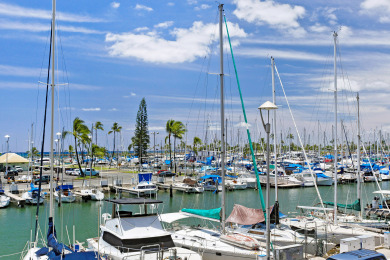 Lake House Waikiki Marina & Ocean Views! Easy Walk to Beach! Washlet!, , on Oahu - Honolulu in Hawaii - Lakehouse Vacation Rental - Lake Home for rent on LakeHouseVacations.com