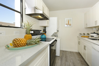 Lake House OceanDiamond Head Views, High Floor, AC, WasherDryer, WiFi, Parking!, , on Oahu - Honolulu in Hawaii - Lakehouse Vacation Rental - Lake Home for rent on LakeHouseVacations.com