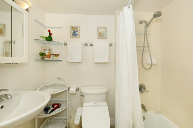Lake House Beautiful eco-friendly studio with washerdryer, one FREE parking and Wi-Fi!, , on Oahu - Honolulu in Hawaii - Lakehouse Vacation Rental - Lake Home for rent on LakeHouseVacations.com