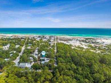 Lake House Grove To Grayt - 30A Luxury Vacations, Grayton Beach, , on Gulf of Mexico - Santa Rosa Bay in Florida - Lakehouse Vacation Rental - Lake Home for rent on LakeHouseVacations.com