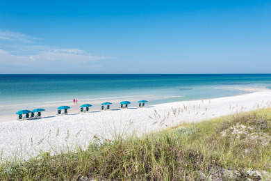 Lake House Flip Flop Dreams - Seacrest Beach, Bikes, Beach, Huge Community Pool, , on  in Florida - Lakehouse Vacation Rental - Lake Home for rent on LakeHouseVacations.com