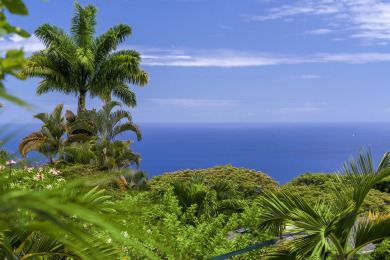 Lake House Koana Breeze-Breathtaking Sunset & Ocean Views, Hot Tub Living at its finest!, , on Big Island - Kailua-Kona Bay  in Hawaii - Lakehouse Vacation Rental - Lake Home for rent on LakeHouseVacations.com